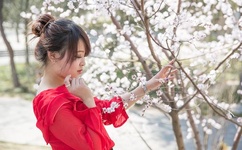 女人被躁到高潮嗷嗷叫文